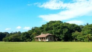 isencao-de-itr-para-imovel-rural-facil